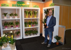 Jasper Zuidgeest van Dynaplant. Door het warme weer beginnen de clivia's nu al te bloeien!