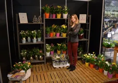 Caroline Breugem van BB Plant. A Touch of Joy is de nieuwe lijn waaronder de kwekerij de zantedeschias op de markt zet.