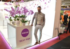 De 'Sexy Pink' is een nieuwe varieteit bij Phalaenova. Op de foto Addie Groen