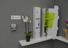 Het Beste van de Kweker is een samenwerking tussen Vijverberg en Post NL, waarbij de planten in een pak bezorgd kunnen worden