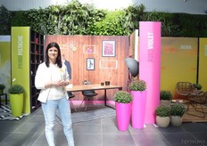 Elien Pieters of GediFlora, a breeder of ball-shaped chrysanthemums. At the FlowerTrials, they show how their (new) chrysanthemums can be used in practice. The Primo Pistache (on the left), has green flowers, is pollen free and flowers 2 weeks, the least. Besides that, it does not need much sunlight to flower. The Auro Violet (in the middle) has an expressive color which remains throughout the season. It opens slowly and therefore has a longer shelf life. An orange color will be introduced soon. The Jasoda (on the right) is one of their top sellers worldwide and is very grower friendly and available in six colors.