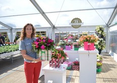 Regina Dinkla of Florensis holding the purple impatia from the Clockwork series. This series is improved and, just like the name, also have the habits of a clock as they have very uniform growing habits. It is a medium compact plant with large flowers, ideal for a patio pot.