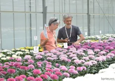 Visitors looking at the cut chrysanthemums of Dümmen Orange.
