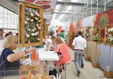 Buysy at Dümmen Orange.