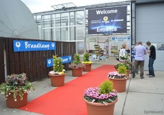 At this location, Brandkamp, DHMI and Varinova were showcasing their varieties.