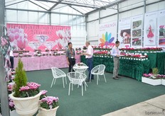 The FlowerTrials location of Varinova.