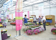 Jürgen von den Driesch showing the visitors the varieties of Brandkamp.