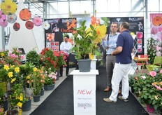 The FlowerTrials location of D.H.M.Innovation / breeding company by Lannes.