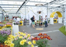 The FlowerTrials location of Schneider youngplants.