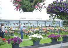 Jonge Planten Grünewald.