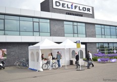 Deliflor and Beekenkamp.