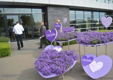 The Campala of Beekenkamp at the entrance.