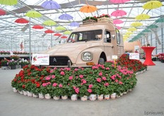 The novelties of P vd Haak presented.