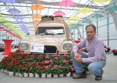 Perry van der Haak in front of the novelties in the Toscana pelargonium line of P vd Haak. Together with Florensis, they market this line in Europe. On the left side of the photo. the Gabry. This variety will replace the Fabian of P vd Haak. It has a longer shelf life, rounder habits and is suitable for 10,5 cm pot sizes and bigger.