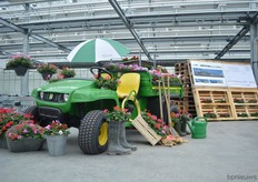 P vd Haak is currently expanding its greenhouse. See the plans on the right.