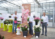 Frans van der Weiden, Daan Vermeer and Peet van Os of Van der Bos FlowerBulbs. At the FlowerTrials, the Rose Lily was well represented. This is a pollen free double flowered lily.