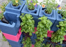 Also from Plant Butler is this creative plant wall, which can be watered from above. Do you see how it works?