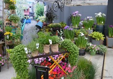 The Urban theme, meaning, according to Kooijman, putting plants in any core or thing you can find.