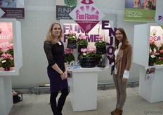 Marlies Bensdorp and Isabelle Andre of Morel Diffusion, presenting a new series of cyclamen: FunFlame