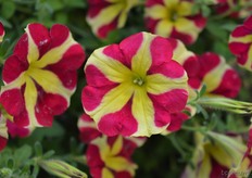 As you can see, the name is almost self-evident!