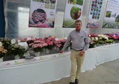 Kees Eveleens from Horteve Breeding. The breeding of hortensia's has gained more and more attention of the breeding society in general over the last years, and Horteve is one of its forerunners. More and more varieties come to the market, which truly are, in color, form and shape, distinct from the traditional ones.