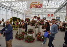 Also a lot of attention went out to the begonia series Funky Pink, a 'well branched plants easy to grow and ship'.