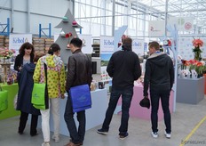 At the entrance, also Kebol itself, a comapny specialized in the production and sale of Amaryllis bulbs, took the chance to present itself.