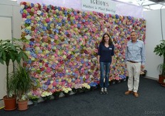 Mirjam van Ouwerkerk and director Andre Smaal of Agriom, in front of an impressive wall of hydrangea