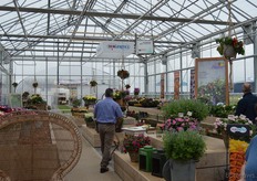 The presentation of HemGenetics, at Takii in De Kwakel (near Aalsmeer)