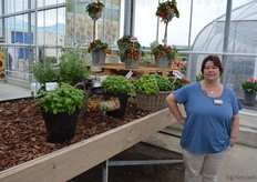 Carola from HemGenetics. Among the novelties, the Sweet Valentine heart shaped cherry tomatoes are definetly noteworthy. They are still 'experimental', but, once through all the trials, promises are high for this one