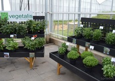 Vegetalis is a subsidiary of Floranova, which is specialised in mini vegetables and herbs.