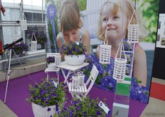 Winner of the Fleurostar 2015, the petunia Nightsky of Selecta Breeding