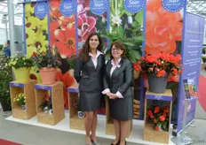 Ann Jennen and Sally van der Horst from FleuroSelect, posing in front of this year's nominees for the FleuroStar 2016. The begonia hybrid of Dummen Orange won the prestigious competition and got the prize awarded at the Greentech, last Thursday.