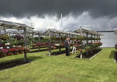 Selecta One in Germany.