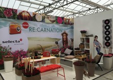 Selecta One in Germany.