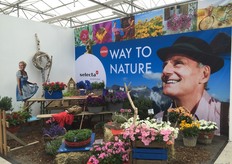 Selecta One in Germany.