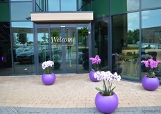 The entrance of the Sion.