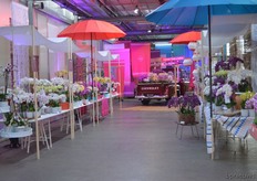 The FlowerTrials location at Sion.