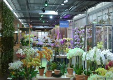 The FlowerTrials location at Sion.