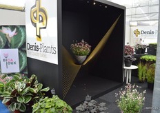 René Denis zou, naar eigen zeggen, inmiddels miljonair zijn, als hij iedereen die een foto van de bijzondere stellage maakt, een euro'tje zou laten betalen..