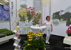 Simone Helbing van AllPlant. Het gaat lekker met de nieuwbouw, vertelt Simone: kijk maar eens op de Facebook pagina van het bedrijf!