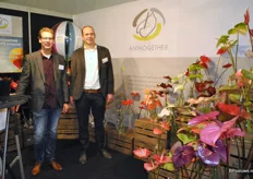 Bij Anthogether staan Klaas van der Spek en Marco Oosterom tussen de kleurrijke anthuriums