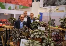 Bert Koppe, Teunis de Gelder and Harrie Hegeman from Koppe begonia. Instead of focusing on the colored varieties, the company choose to focus specifically on the green leaved varieties
