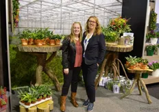 Bianca Vreugdenhill is bloemstyliste en werkt veel samen met Agnes Scheffers van Dracaenakwekerij de Plaats