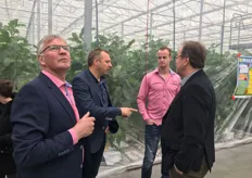 Uitleg over de aubergines van Kwekerij van Duijn in Westdorpe