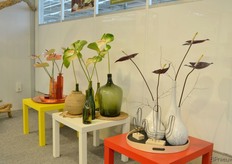 In de anthurium snijbloemen categorie heeft Anthura vijd noviteiten toegevoegd, waarvam drie daarvan hier op de foto staan. Van links naar rechts; Tequilla, Denali and Showtime.