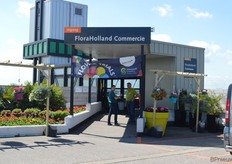 Selecta One en Schoneveld Breeding presenteerde hun noviteiten in de Monsterkas in Honselersdijk.