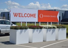 Dit jaar presenteerde Dümmen Orange haar varieteiten op een nieuwe locatie, in Naaldwijk. Dit omdat ze enerzijds meer ruimte nodig haden en anderzijds het waarborgen van het fytosanitaire beleid op hun veredeling locatie.