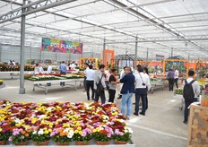 Binnen bij Dümmen Orange.