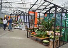 Bij Dümmen Orange presenteerde ze niet alleen hun producten, maar ook hoe deze in verschillende trend stijlen passen en hoe ze gepresenteerd kunnen worden door de retailers. De vier verschillende trens die ze lieten zien waren: Scandinavian Vibes; clean en neutrale kleuren, Future vibes; funky vormen en gedurfde combinatries, City vibes; hoe men planten neer kan zetten in kleinere ruimtes, zoals een klein balkon, en Botanic Vibes, een combinatie van romantisch en vintage. Op deze foto, de laatste trend.